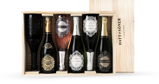 Variety of exclusive vintage champagne bottles in displayed in wooden box