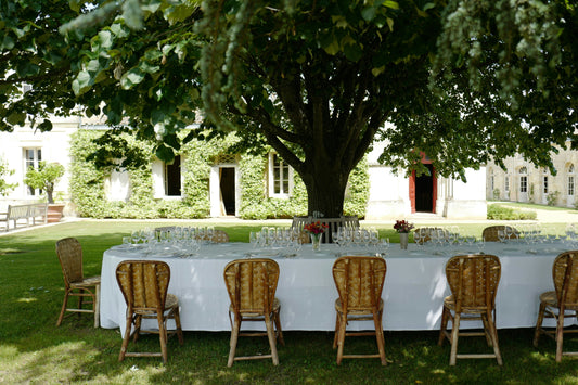 Table set for dinner outside under a tree exclusive environment long table with many seats, white table cloth and champagne glasses